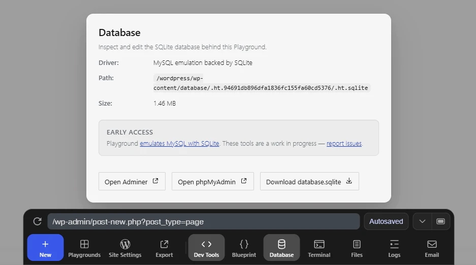 Wordpress Playground Database Screen
