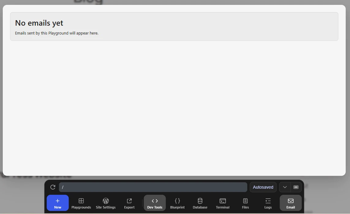 Wordpress Playground Email screen